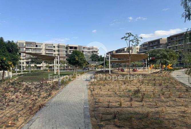 53863298 - صورة العقار 2