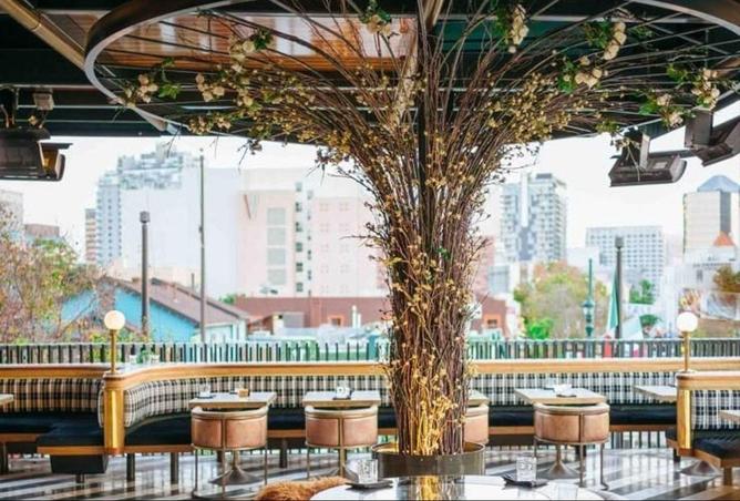 8557791 - صورة العقار 2