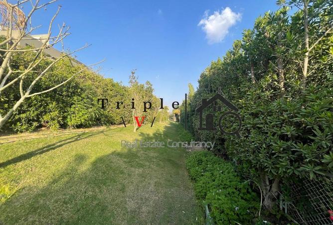 70371282 - صورة العقار 2