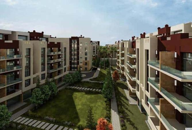 8582464 - Property Image 3