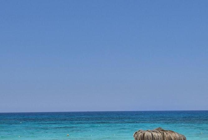 63131677 - صورة العقار 2