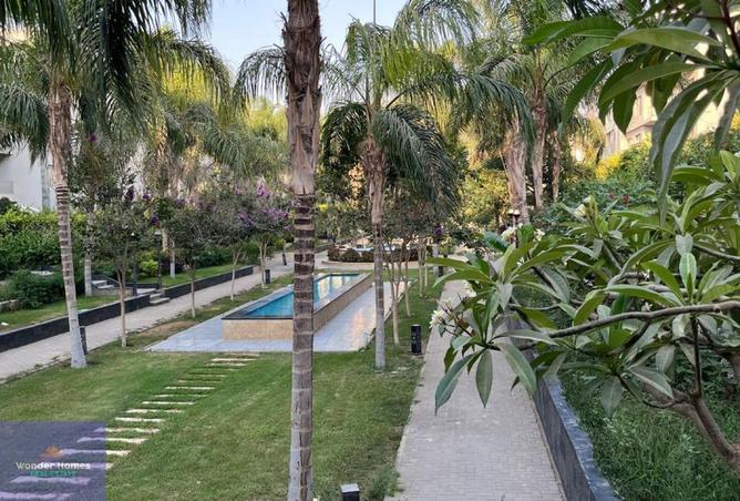 60470938 - Property Image 2