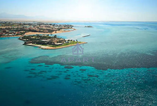 113261061 - صورة العقار 3