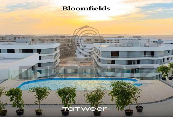 8400756 - Property Image 3