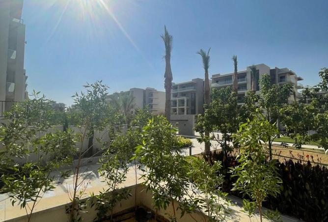 52463992 - صورة العقار 3