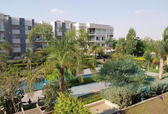 63397564 - صورة العقار 3