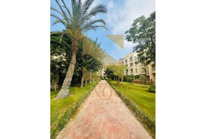 8534641 - الصورة الرئيسية للعقار