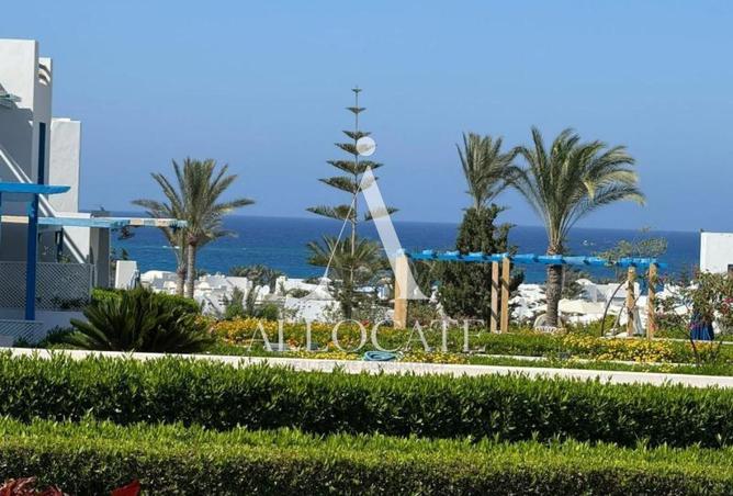 74586085 - صورة العقار 3