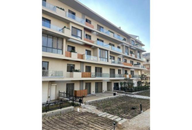 57251365 - Property Image 3