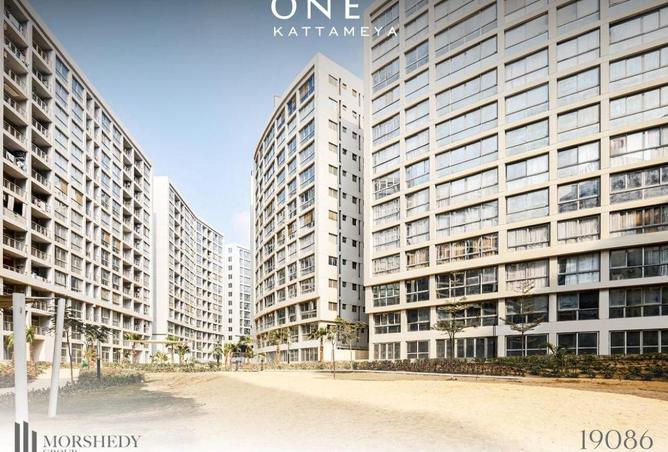 8591777 - Property Image 3