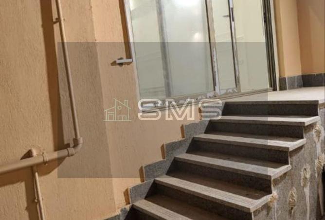 8639766 - Property Image 3