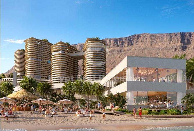 53974754 - Property Image 2