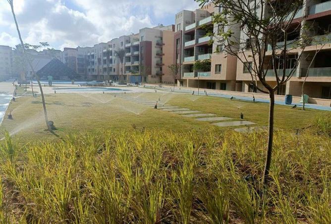 8596699 - Property Image 3