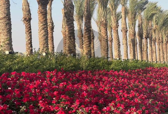 68002406 - صورة العقار 2