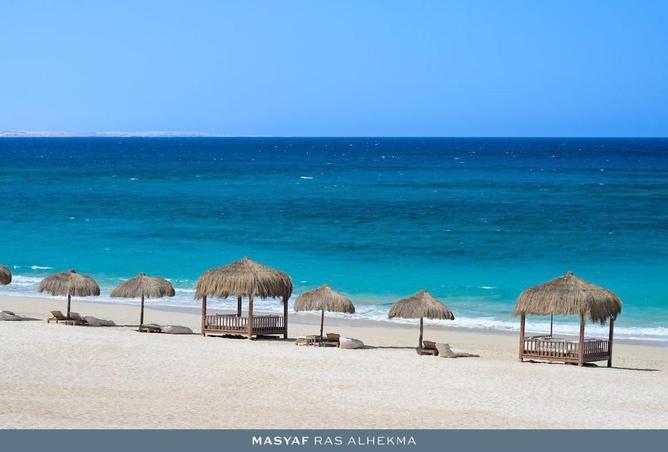 54501076 - صورة العقار 2