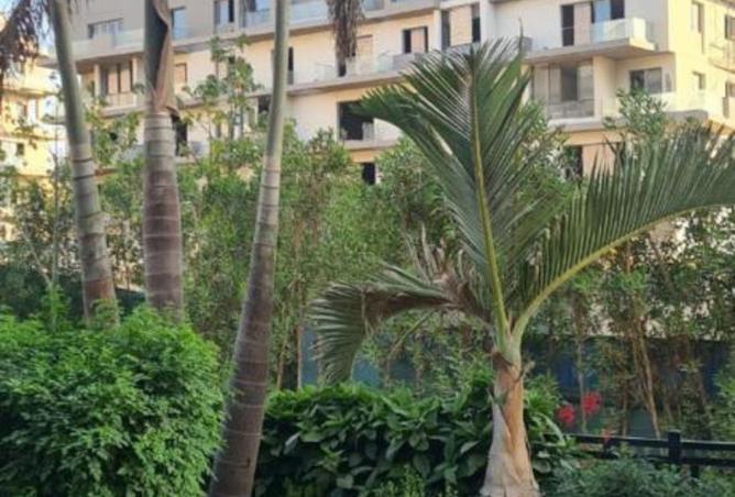 2P66eEWoEwC - صورة العقار 3