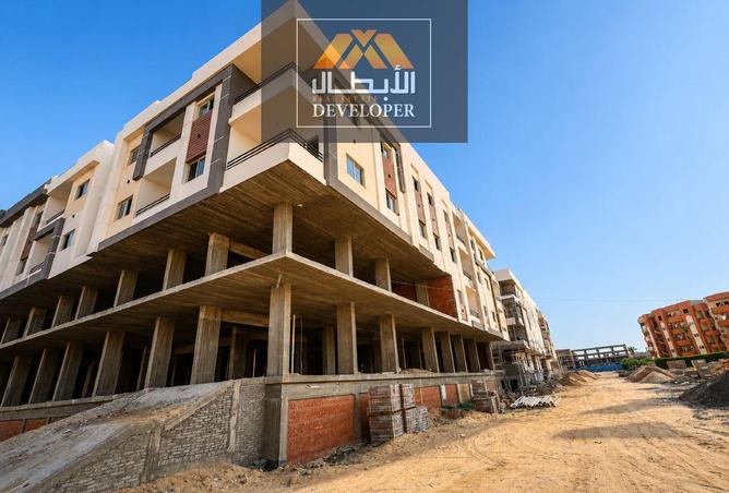 99113597 - Property Image 3