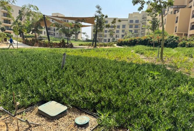 61930887 - صورة العقار 3