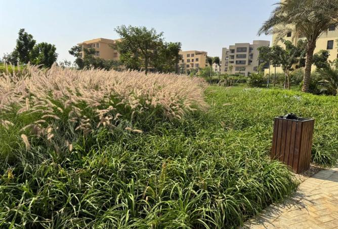 61930887 - صورة العقار 2