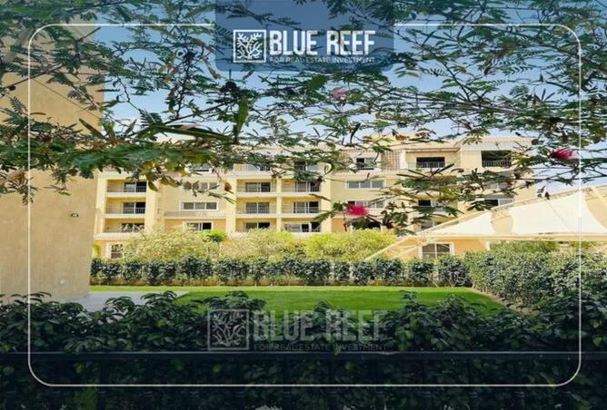 66555463 - صورة العقار 3