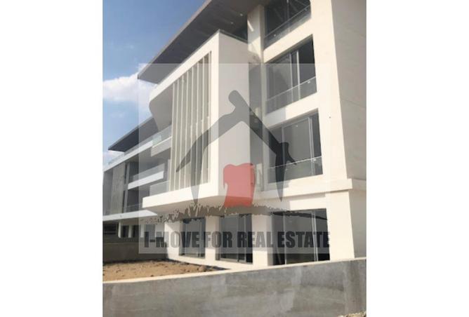 67469100 - Property Image 3