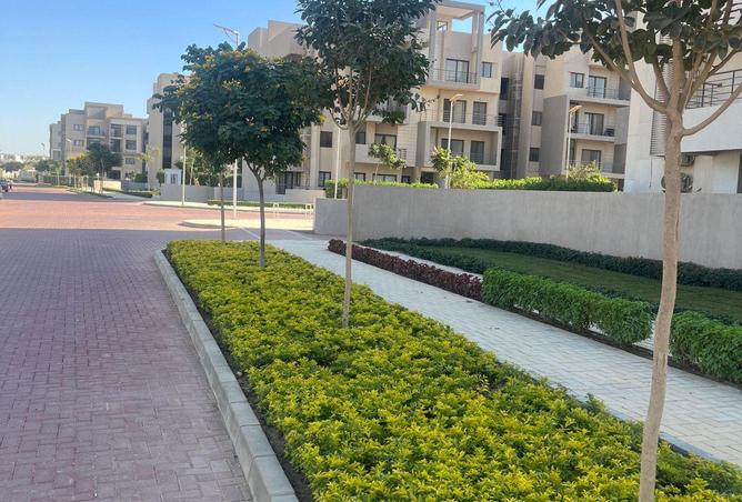 69833558 - Property Image 2