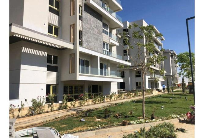 66960055 - Property Image 2