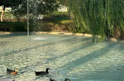 (بنتهاوس  (روف - 4 غرف نوم - 4 حمامات للبيع في ريجينتس بارك - حى الاندلس - مدينة القاهرة الجديدة - القاهرة