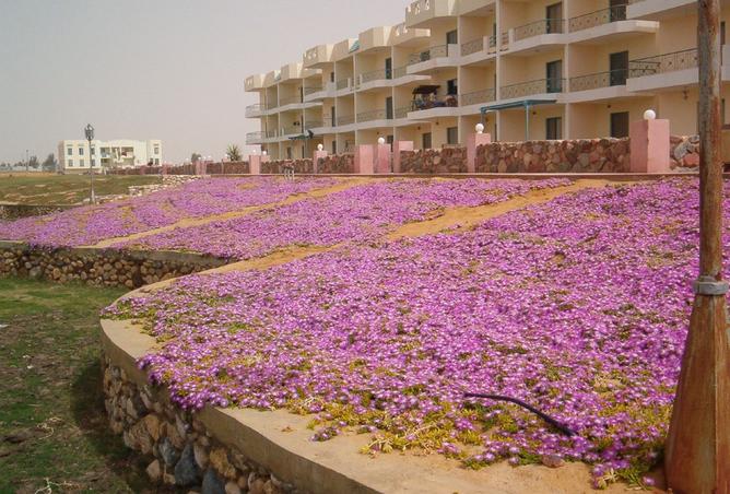 8525247 - Property Image 2