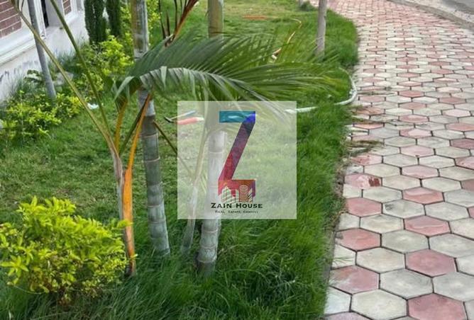 52197193 - صورة العقار 2