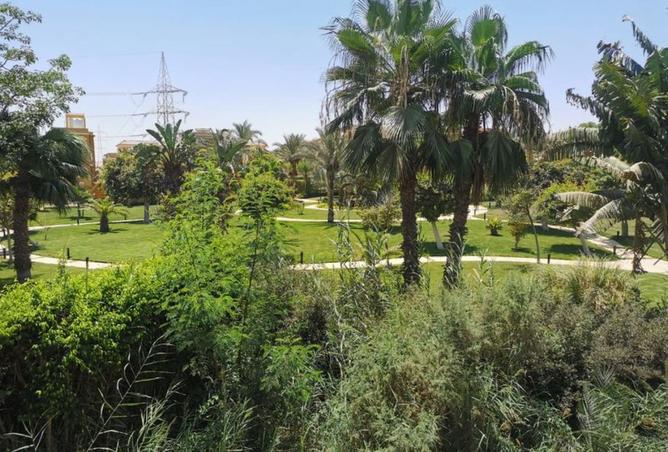 92685480 - الصورة الرئيسية للعقار