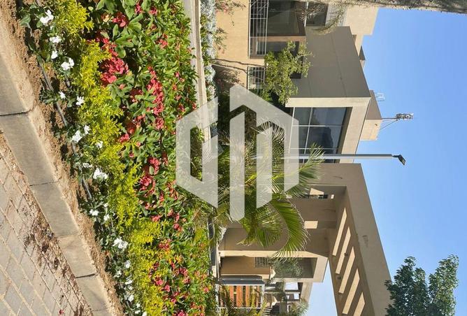 8619353 - Property Image 3