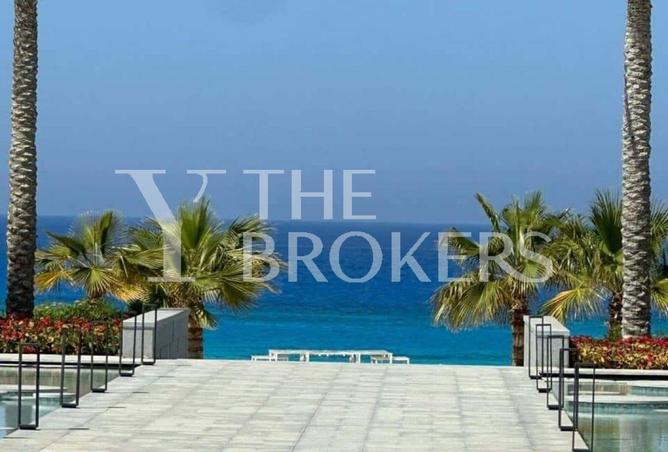 8667663 - Property Image 3