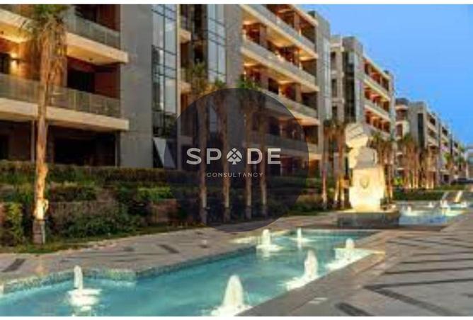 55498427 - Property Image 2