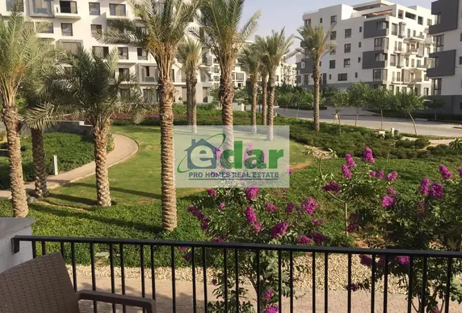 117525630 - صورة العقار 2