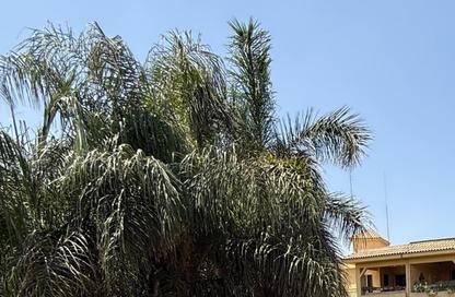Apartment - 3 Bedrooms - 2 Bathrooms for rent in City View - Cairo Alexandria Desert Road - 6 October City - Giza