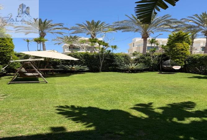 81833874 - Property Image 3