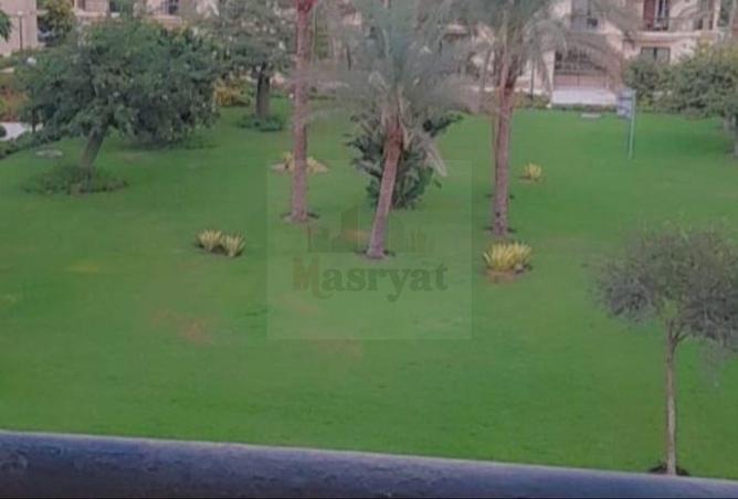 54746517 - Property Image 2