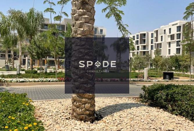 8595822 - صورة العقار 3