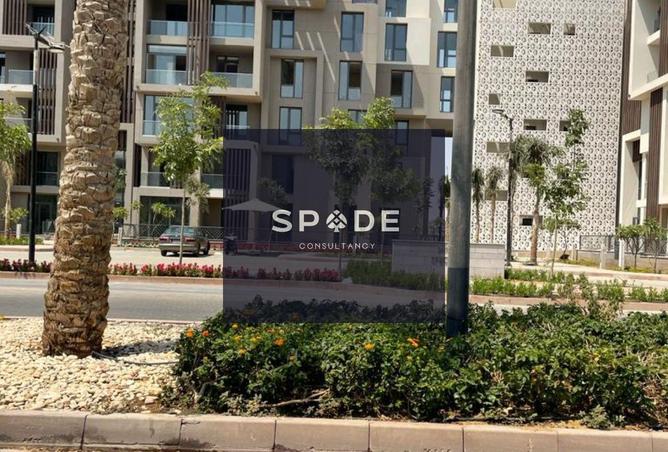 8595822 - صورة العقار 2