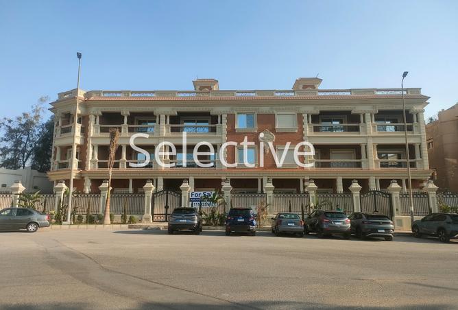 73232984 - Property Main Image