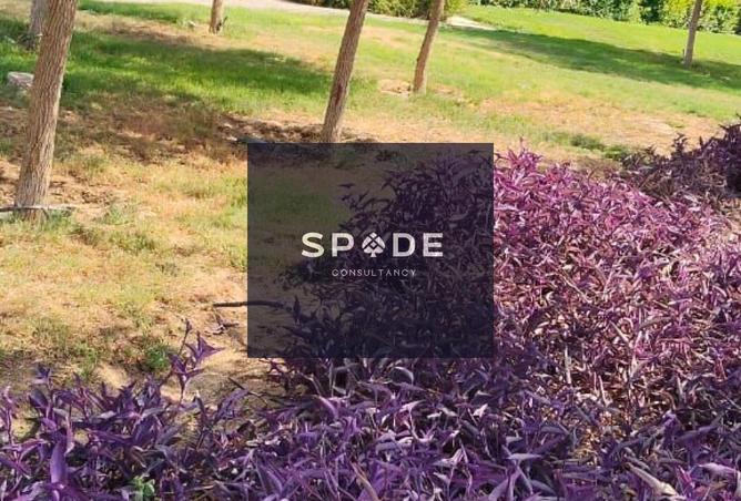 8509817 - Property Main Image