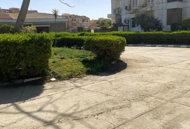 67473714 - صورة العقار 3