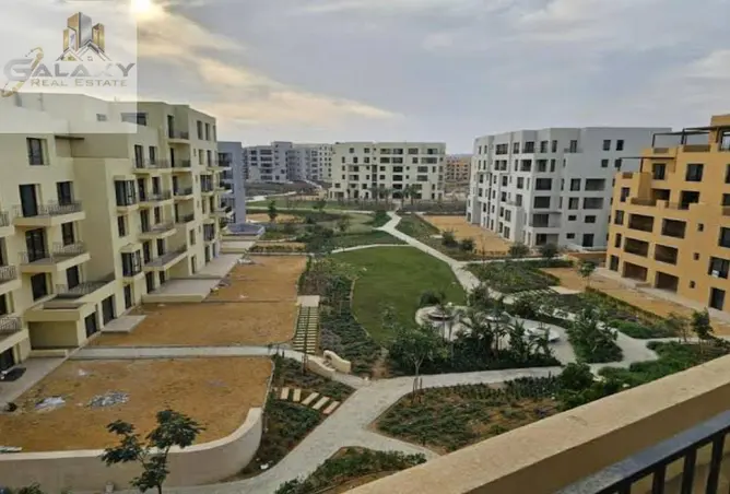 119342377 - Property Image 3