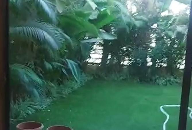 8590231 - صورة العقار 2