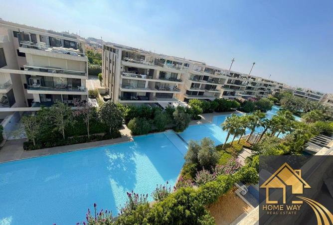 8421782 - Property Image 3