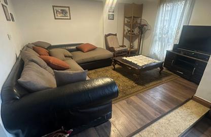 Apartment - 2 - 2 for rent in Degla - Hay El Maadi - Cairo