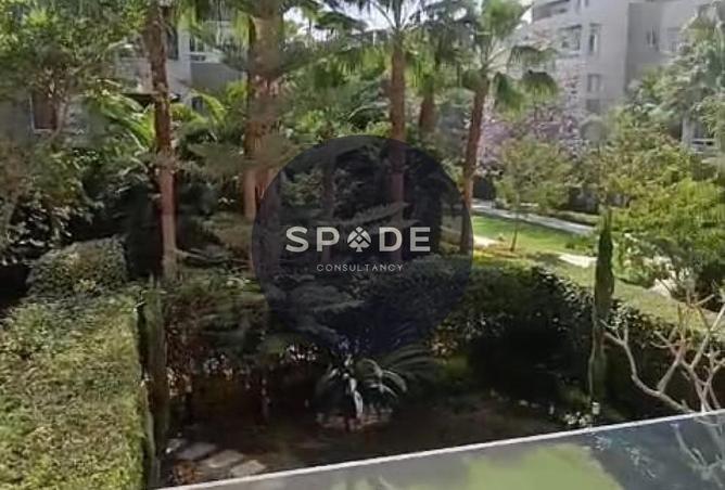 61195361 - Property Image 2