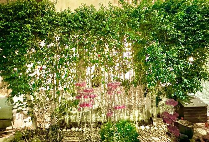 55996402 - صورة العقار 2