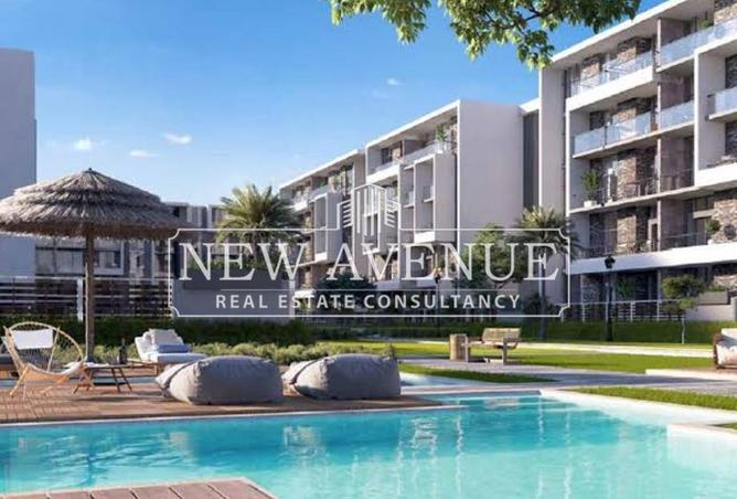 57234950 - Property Image 2